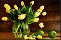 100 70CM OBRAZ PŁÓTNO ŻÓŁTE TULIPANY PŁÓTNO RAMA