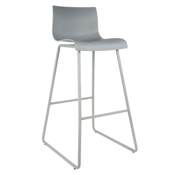 Hoker Novaei szary zdjęcie 1