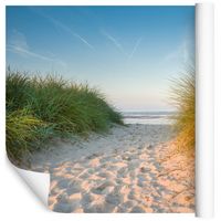 Fototapeta Plaża Piasek ROŚLINY do Sypialni 270x180