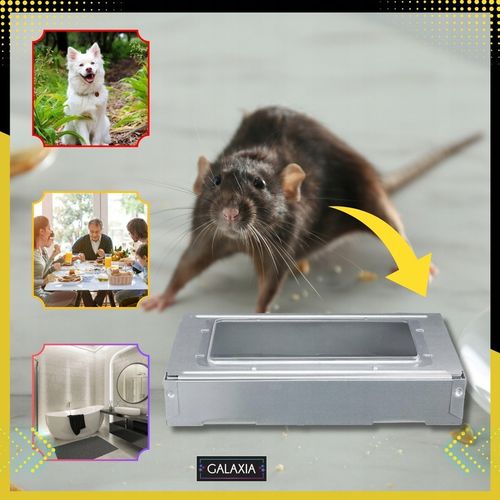 ŻYWOŁAPKA NA MYSZY Pułapka Łapka Na Szczury Pułapki Łapki HUMANITARNA na Arena.pl
