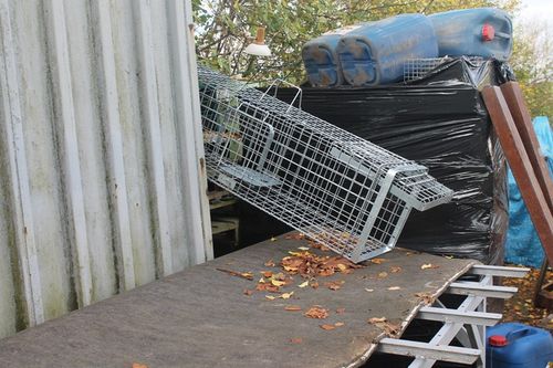 ZYWOŁAPKA PUŁAPKA NA KUNY LISY KOTY BOBRY WYDRY na Arena.pl