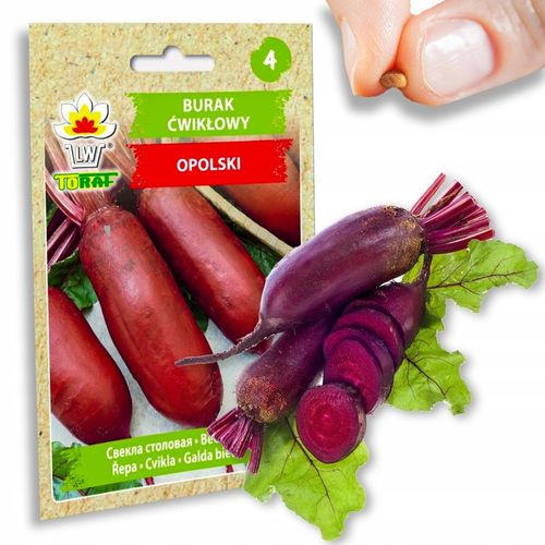 Nasiona warzyw marchew ogórek pietruszka burak NA DOBRY START UDANE PLONY na Arena.pl