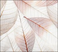 Tło do fotografii produktowej kulinarnej Flat Lay