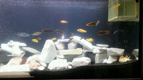 ŻWIREK CZARNY 1-3 mm PODŁOŻE DO AKWARIUM 25kg na Arena.pl