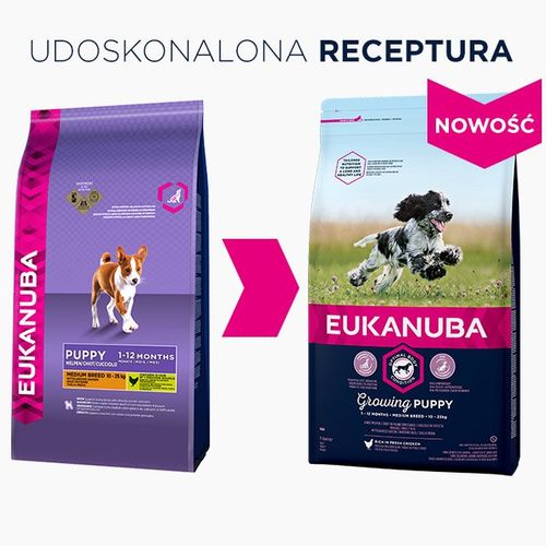 eukanuba puppy&junior medium breed 15kg na Arena.pl