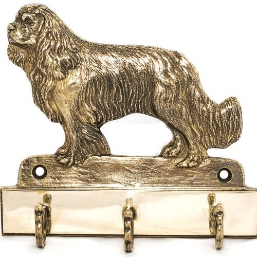 Cavalier King Charles Spaniel - wieszak - 1629 na Arena.pl