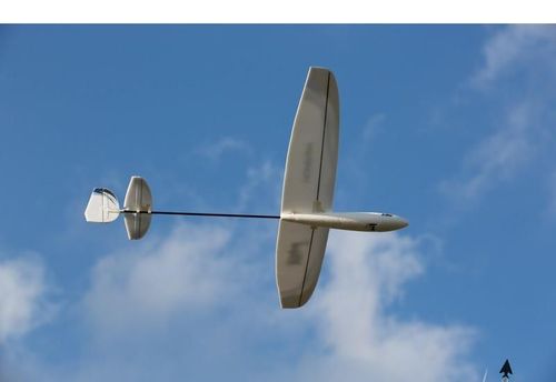 Whipit DLG Bind & Fly Basic na Arena.pl