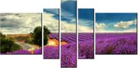 80CM 160CM OBRAZ 5 ELEM LAWENDOWY KRAJOBRAZ DRUK ŚCIENNY
