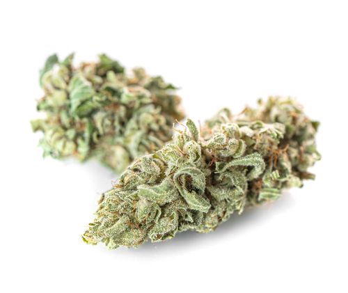 Susz konopny CBD | CBG | AK 47 5 g na Arena.pl