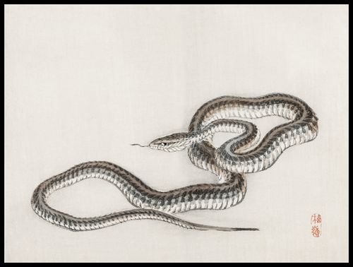 Plakat 80x60cm Snake, Kōno Bairei na Arena.pl