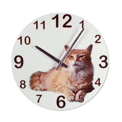 Zegar Ścienny Psy i Koty na Arena.pl