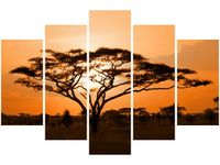 product-compare-58696251