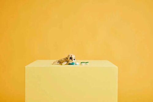 31162 - LEGO Creator - Uroczy króliczek na Arena.pl