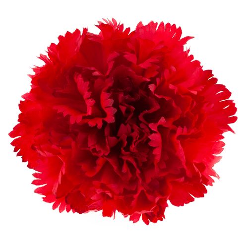 Goździk Wyrobowy Główka Sztuczne Kwiaty Jak Żywe Do Stroików Czerwony na Arena.pl