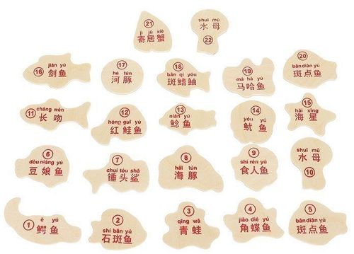 Gra "Łowienie rybek" na magnes 22 el. na Arena.pl