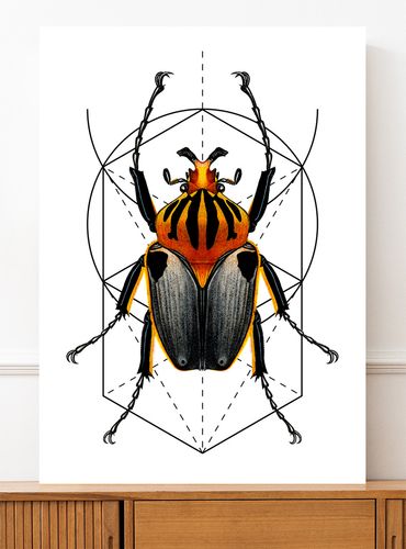 Plakat robak owad geometria 29,7x42 cm A3 na Arena.pl