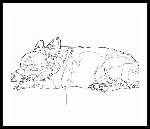 Plakat 60x50cm Śpiący Psiak na Arena.pl