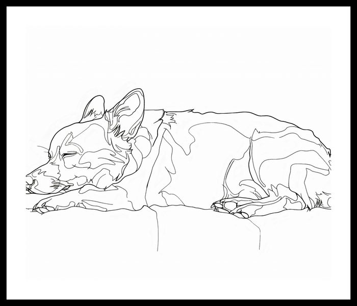 Plakat 60x50cm Śpiący Psiak zdjęcie 3