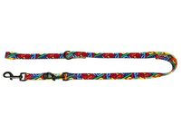 Przepinana smycz dla psa z mocnym szyciem - Dingo City Graffiti 2cm / 220cm
