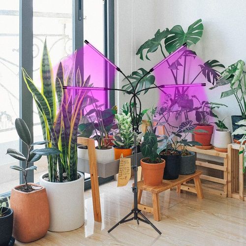 Lampa do Roślin LED Uprawy Wzrostu Panel x 4 Timer dla Doświetlania + Pilot na Arena.pl