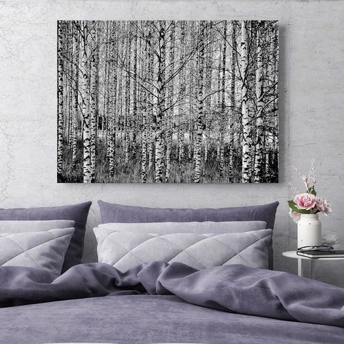 Obraz na płótnie - Canvas, Czarno-białe brzozy 60x40 na Arena.pl