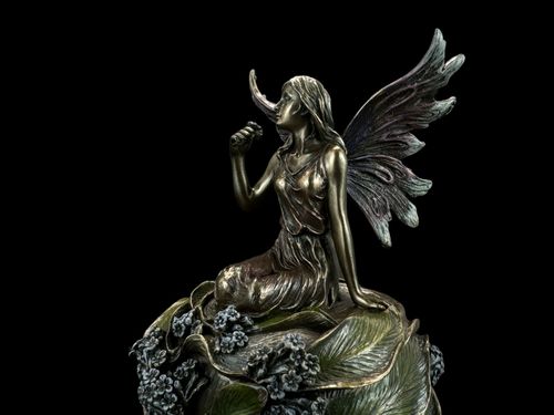 SZKATUŁKA Z ELFEM VERONESE WU72931A4 na Arena.pl