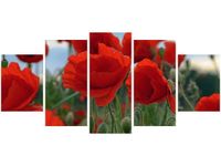 70CM 150CM OBRAZ 5 ELEM MAKI DUNCAN ŚCIENNY