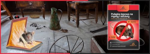 60x PUŁAPKA NA MYSZY SZCZURY MYSZOŁAPKA SILNY KLEJ MOCNA ŁAPKA LEP na Arena.pl