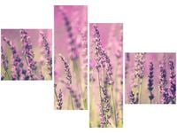 100 70CM OBRAZ 4 ELEM LAWENDA DRUK PŁÓTNO RAMA