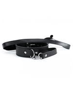 black collar and leash