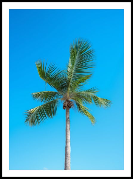 Plakat 50x70cm Wyżyny Nieba zdjęcie 3