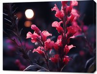 Obraz 90x70cm Wieczorny Blask