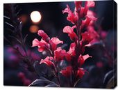 Obraz 90x70cm Wieczorny Blask