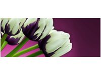 100X40CM FIOLETOWE TULIPANY OBRAZ DREWNO