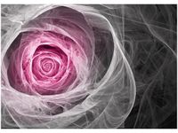 product-compare-58653697