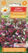 Lobelia zwisająca Cascade Mixed nasiona 0,1 g. na balkon