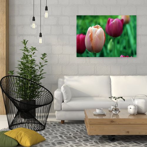 Deco Panel, Różowe tulipany 90x60 na Arena.pl