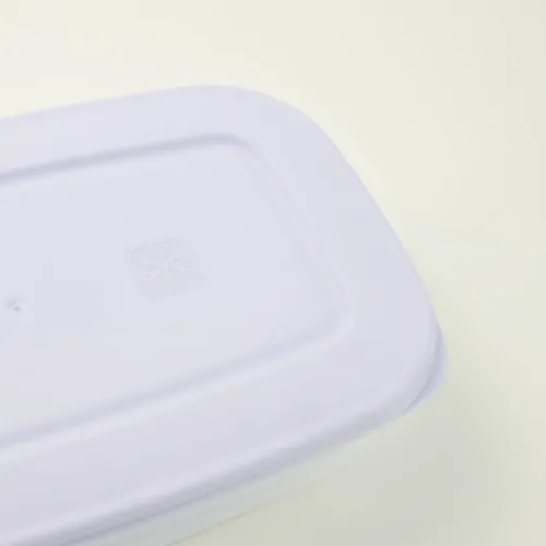 PLASTIKOWY POJEMNIK Z POKRYWKĄ DO PRZECHOWYWANIA ZAMRAŻANIA ŻYWNOŚCI 1,5L na Arena.pl