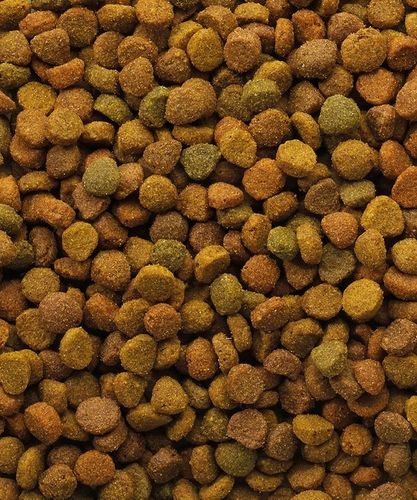 VERSELE-LAGA Classic Cat Variety 10kg na Arena.pl