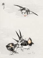 Plakat 30x40cm Swallow, Kashu Japoński Vintage do Salonu
