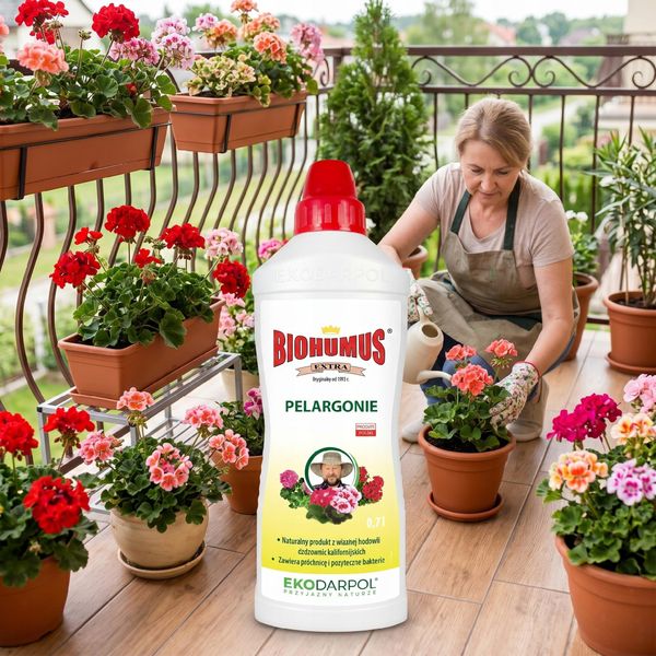 ekodarpol biohumus extra pelargonia 0,7l zdjęcie 8