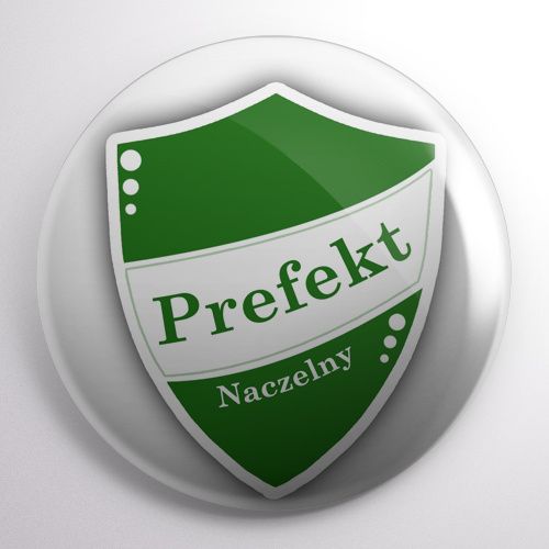 Przypinka Harry Potter na Arena.pl