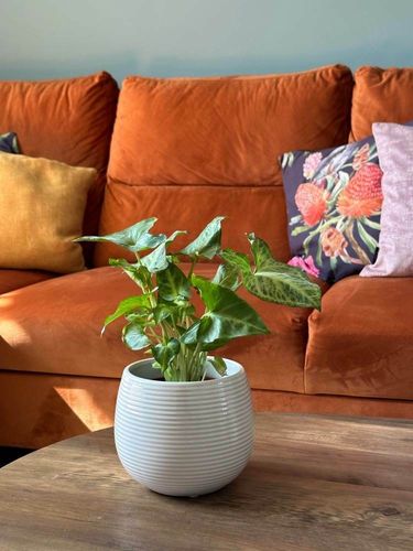 DONICZKA OSŁONKA CERAMICZNA NOWOCZESNA 15CM na Arena.pl