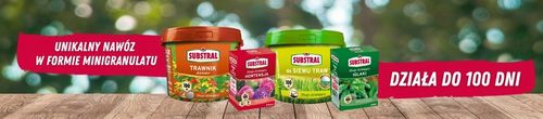 NAWÓZ DO IGLAKA 100DNI 5KG SUBSTRAL na Arena.pl