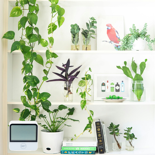 TERMOMETR STACJA POGODOWA POGODY BEZPRZEWODOWA HIGROMETR ZEGAR WIFI TUYA na Arena.pl