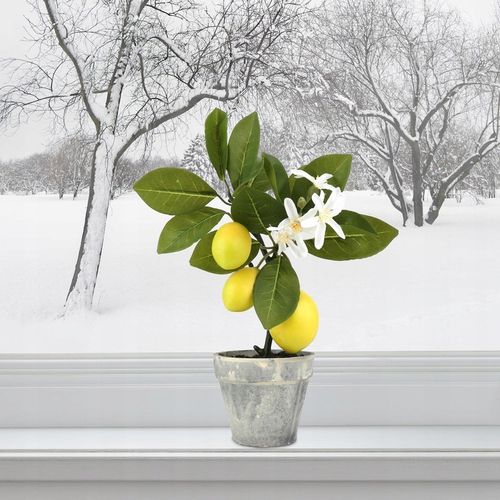 Sztuczne drzewko bonsai cytrynowe do dekoracji wnętrz i imprez na Arena.pl
