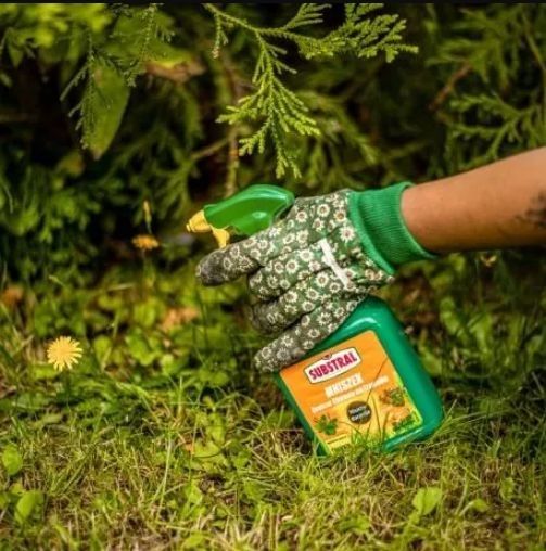 Środek Chwastobójczy Substral Mniszek Ultra Hobby 750 ml x 2 sztuki zdjęcie 5