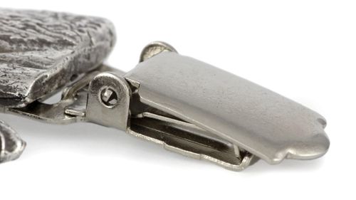 Kerry Blue Terrier - klips - 2564 na Arena.pl