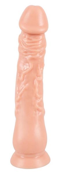 Anal Training Set Dildos zdjęcie 3