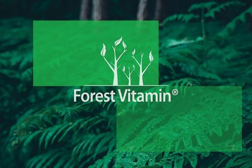 FOREST WITAMINA K2 MK-7 500mcg 100 tab NATURALNA na Arena.pl